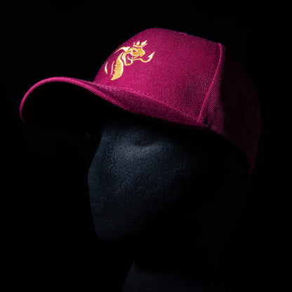 Casquette BASEBALL- 6 pans