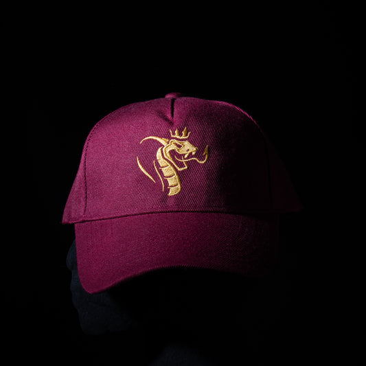 Casquette BASEBALL- 5 pans